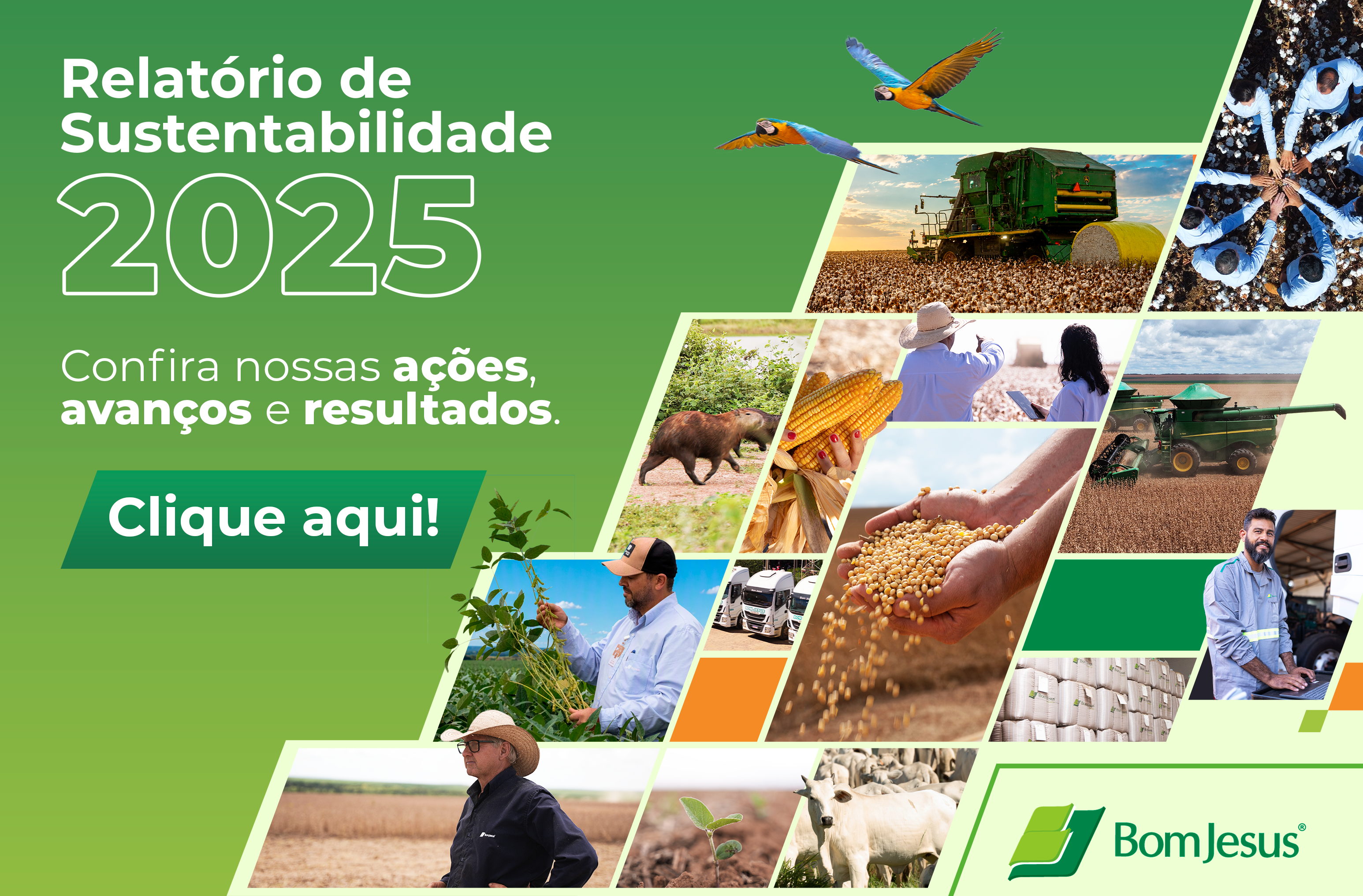 Acesse o Relatório de Sustentabilidade 2025