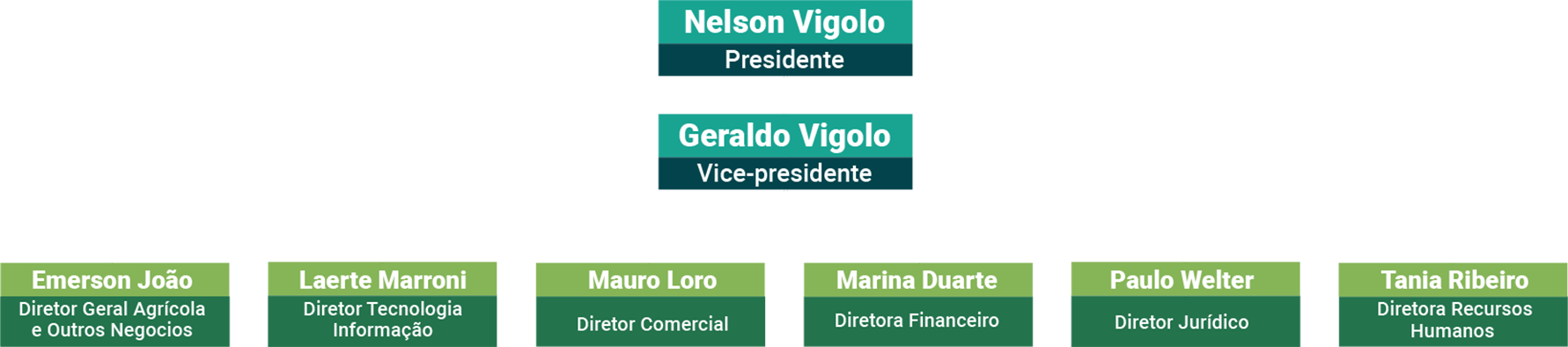 Organograma - Estrutura de Governança do Grupo Bom Jesus